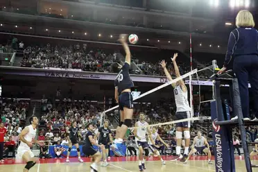 Women's volleyball net height regulations lay down proper guidelines to ensure no errors occur during net measurements. Women's Volleyball Net Height In Feet : Volleyball Net Heights For Each Discipline Set Up For Volleyball