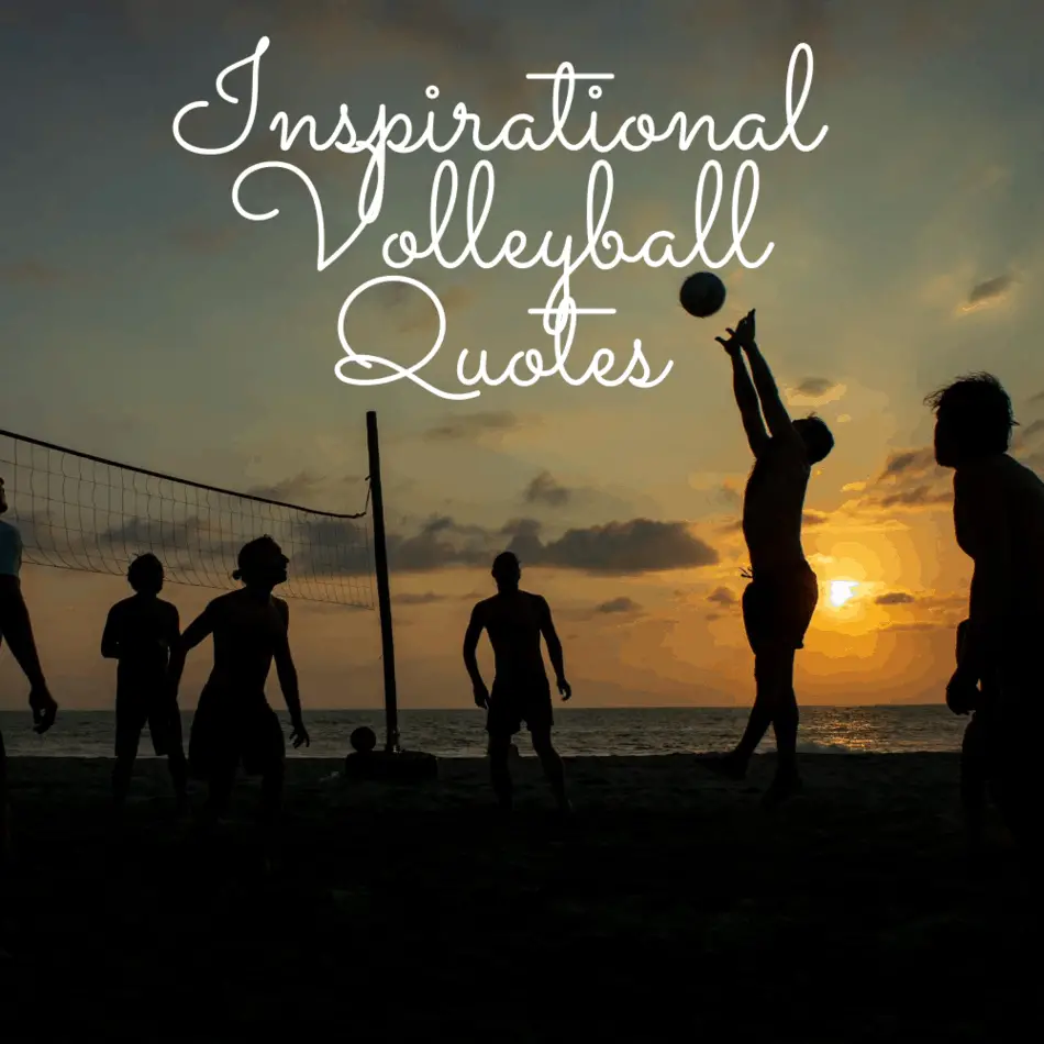 50 Volleyball Quotes To Inspire And Motivate | Set up for Volleyball