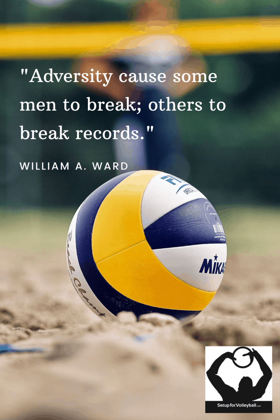 50 Volleyball Quotes To Inspire And Motivate Set up for Volleyball